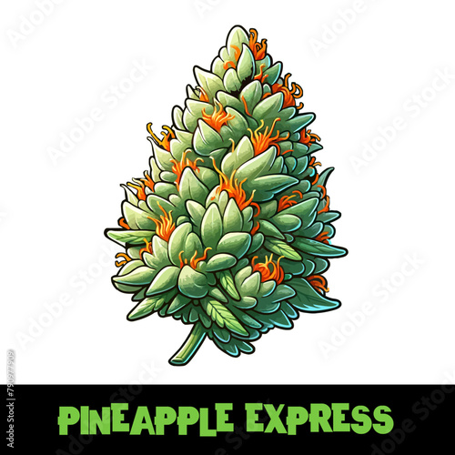 Vector Illustrated Pineapple Express Cannabis Bud Strain Cartoon

