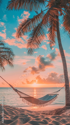 white rattan hanging chair on the beach, under the palm trees. © Svetlana Zibrova