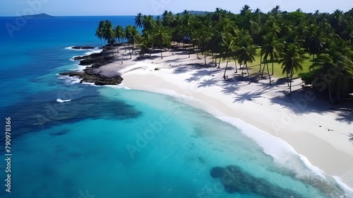 Aerial view of beautiful tropical beach with palm trees and white sand