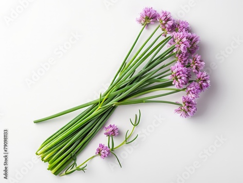 Set of fresh chives  delicate and flavorful