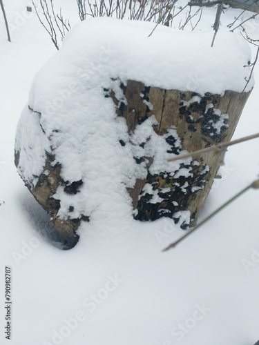 winter background: old snow-covered tree stump