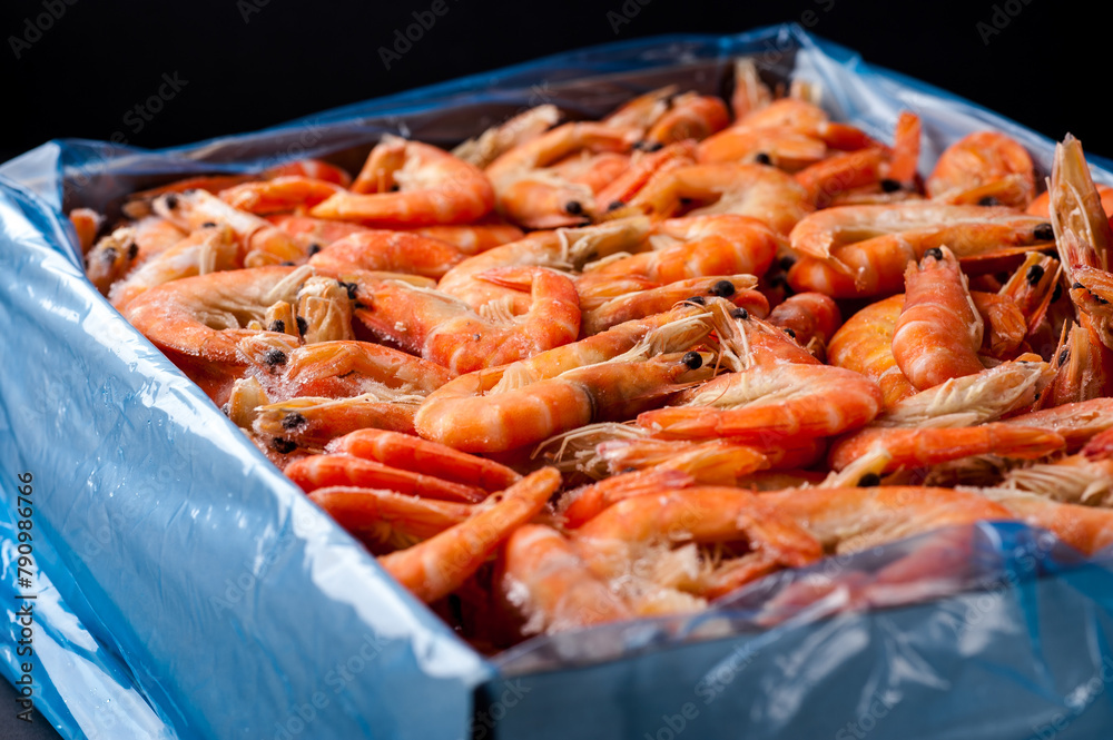 Freshly frozen tiger shrimp. Frozen Tiger Shrimp Packed and Ready for Market Freshly frozen tiger shrimp. Frozen Tiger Shrimp Packed and Ready for Market