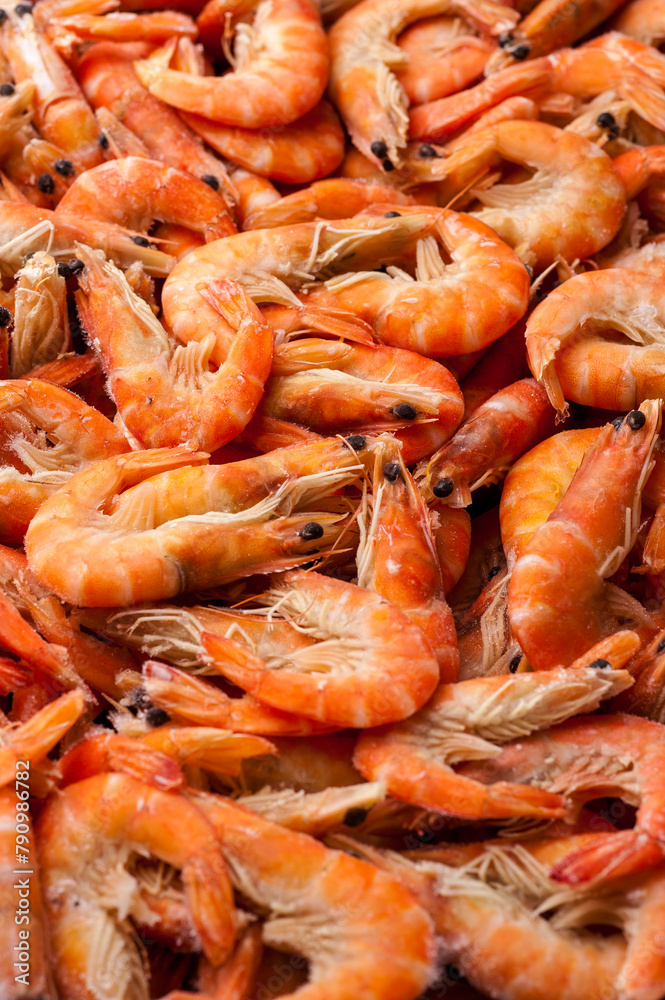 Freshly frozen tiger shrimp. Frozen Tiger Shrimp Packed and Ready for Market Freshly frozen tiger shrimp. Frozen Tiger Shrimp Packed and Ready for Market