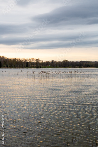 Lake view at the Riebinu (Riebiņu) lake in spring afternoon before sunset in Latvia