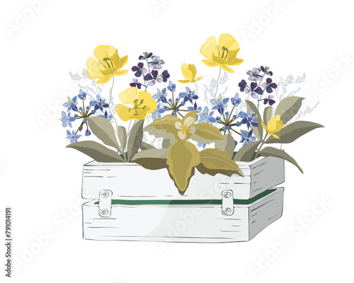 Vector flowers and herbs in a garden wooden white box.