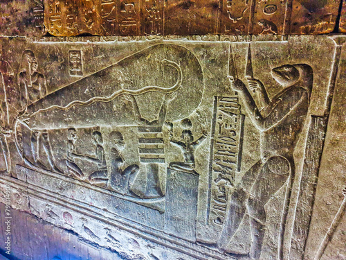 Obraz na plátně The Dendera lightbulb in the crypt depicting the egyptian creation myth of the s