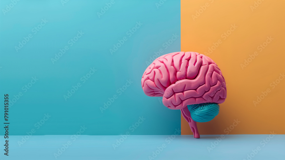 Cerebro humano con colores sobre fondo de color liso - obrazy, fototapety, plakaty 
