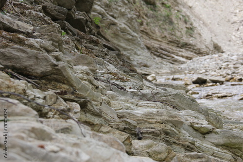 rock in the mountains