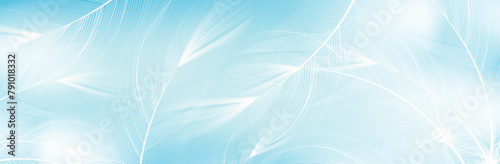 Background of flying realistic vector  goose or swan blue  feathers.Ecological feather filler for pillows, blankets or jackets.Vector concept design.