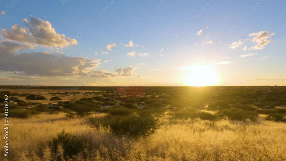 Time Lapse of sunset in Savanah of Botswana South Africa.