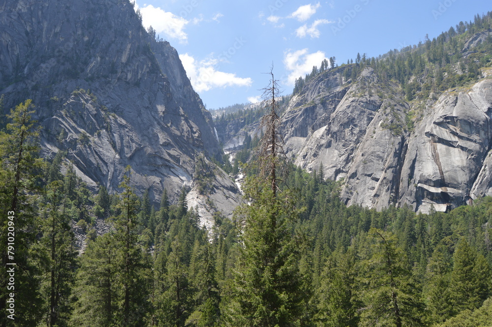 Trees mountains and river in summer in Yosemite National Park