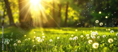 Scenic beauty of a tranquil park featuring dandelions, green grass, trees, and flowers under the sunlight in a beautiful spring nature setting.