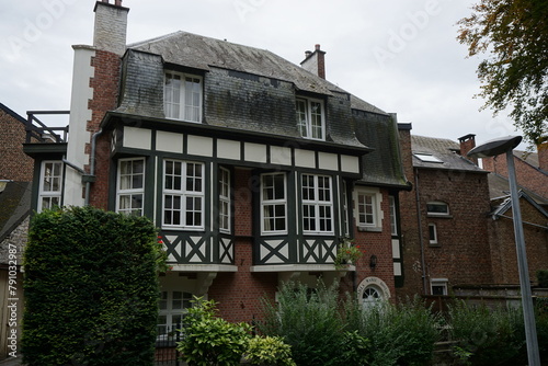 old house in the town of Dinant, Belgium  in the park © poupine