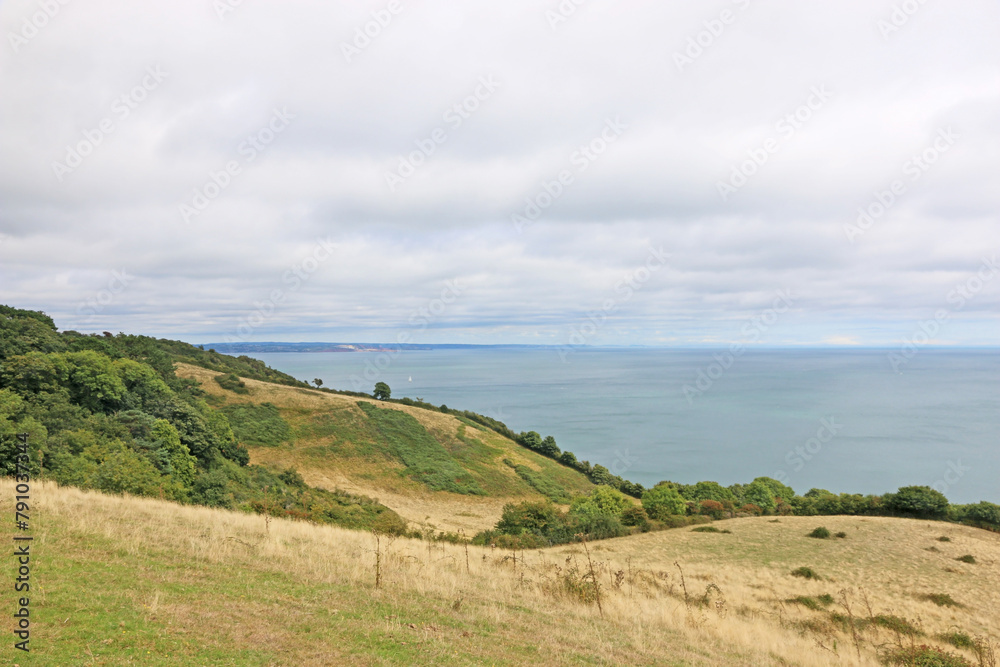 Coast of South Devon above Maidencombe Coast of South Devon above Maidencombe