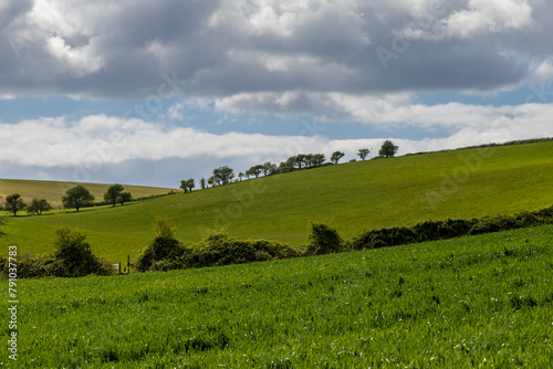 A view over farmland in the South Downs  in springtime