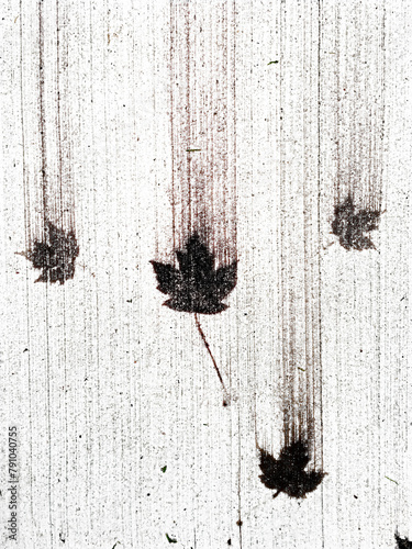 streakinng falling maple leaves canada