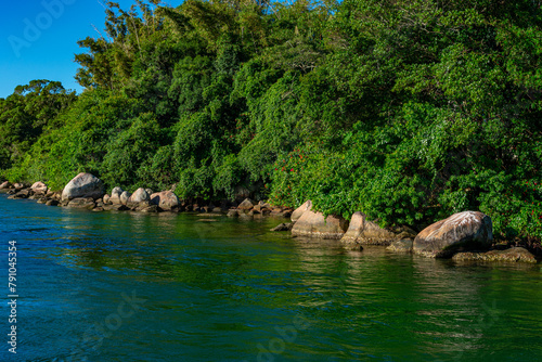 pedras e árvores na margem do canal que vem do mar em Florianópolis, Brasil photo