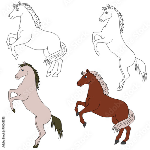 Horse Clipart. Wild Animals clipart collection for lovers of jungles and wildlife. This set will be a perfect addition to your safari and zoo-themed projects.