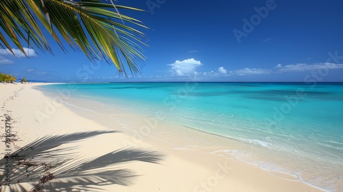 Symbolic palms  luxurious beach relaxation for aesthetes seeking a lavish lifestyle © Maksym