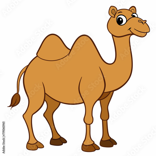 Bactrian camel  a camel has two humps  in full growth  completely  entirely  on a white background