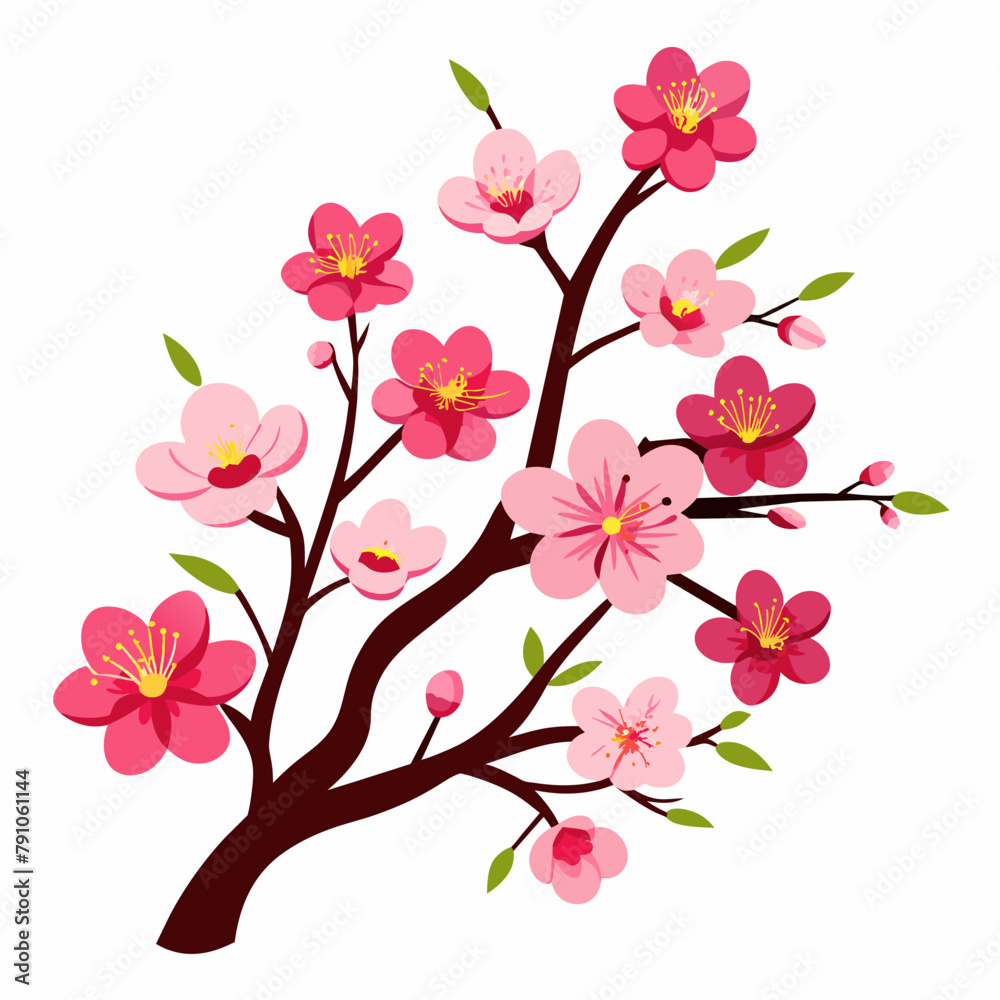 Plum blossom vector illustration an white background
