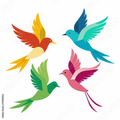 Four kinds of beautiful birds are flying in the sky white background