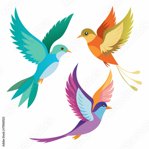 Four kinds of beautiful birds are flying in the sky white background