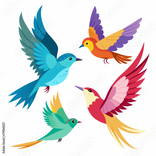 Four kinds of beautiful birds are flying in the sky white background