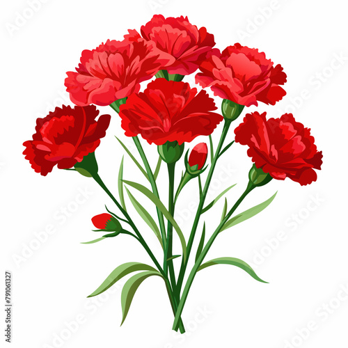 Bouquet of red carnations on a white background