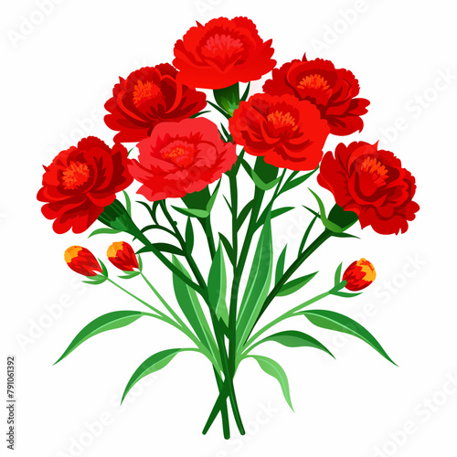 Bouquet of red carnations on a white background