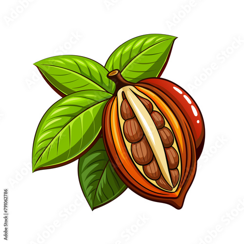 cocoa beans isolated on white background