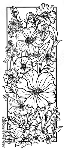 Botany, flowers, buds, leaves. Coloring