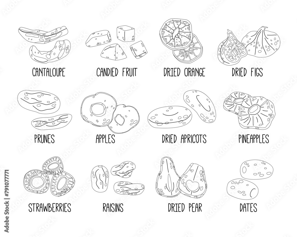 Dried Fruits Outline Vector Icons Set. Cantaloupe, Orange, Figs, Prunes and Apples. Apricot, Pineapple and Raisins