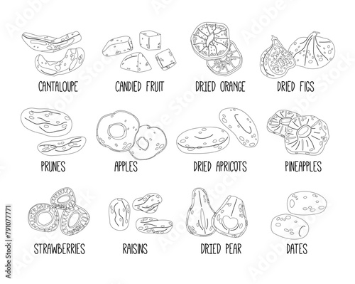 Dried Fruits Outline Vector Icons Set. Cantaloupe, Orange, Figs, Prunes and Apples. Apricot, Pineapple and Raisins