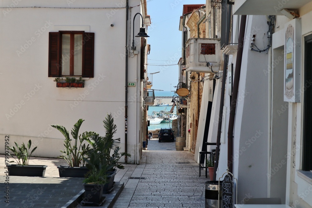 Termoli - Scorcio del porto da Via Policarpo Manes