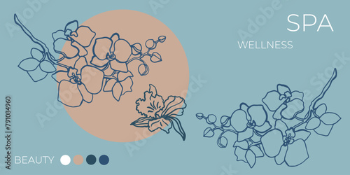 Isolated hand drawn vector orchid flowers. Outline sketch. Orchid flower branch with buds and flowers. Romantic. Floral banner. Spa template. Wellness and health. White. 