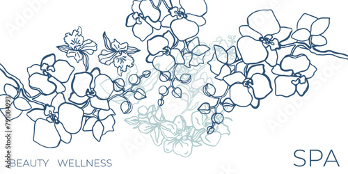 Isolated hand drawn vector orchid flowers. Outline sketch. Orchid flower branch with buds and flowers. Romantic. Floral banner. Spa template. Wellness and health. White. 