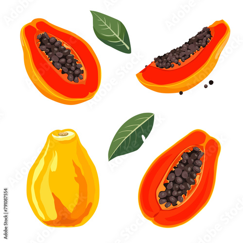 Set of yellow red papaya and slices. Isolated vector fruit in flat style. Summer clipart for design