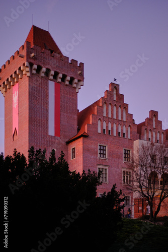 Zamek królewski w Poznaniu