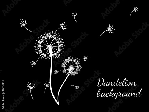 Dandelion_background7-11.eps