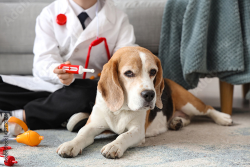 Cute little doctor with toy thermometer and Beagle dog at home, closeup