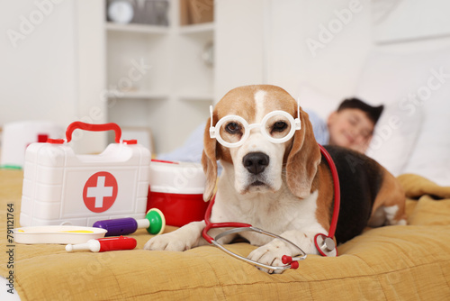 Cute Beagle dog with eyegla...