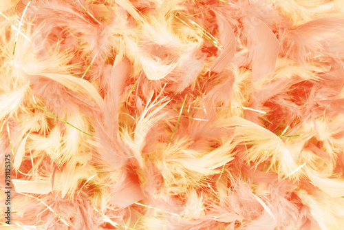 close up of the peach tones  feather party background