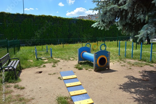 Playground for dogs in the city