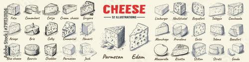 Hand drawn pieces of cheese.Vector set of realistic outline dairy products. Isolated curds collection used for logo design, recipe book, advertising cheese or restaurant menu. photo