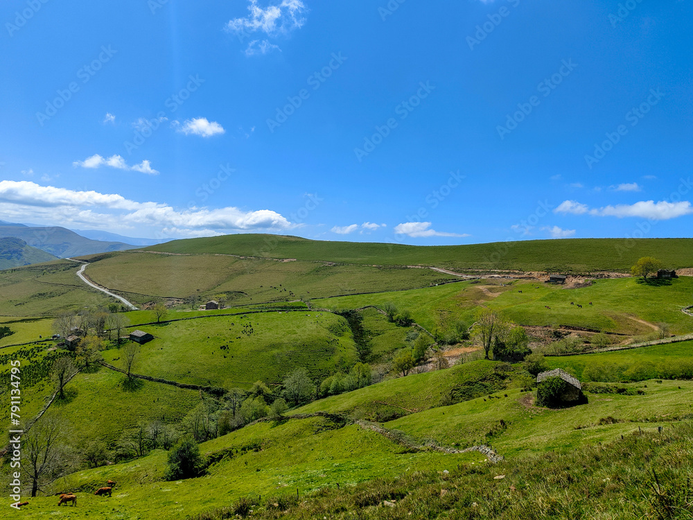 Fototapeta premium Paisaje montañoso