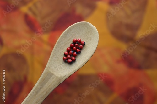 Huayruro (Ormosia coccinea) seed above a wooden spoon in a colorful background with orange and yellow tones