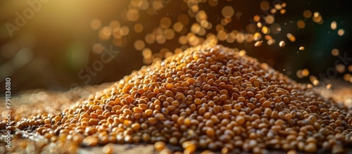 Massive Mound of Diverse Grains and Legumes in Macro Closeup