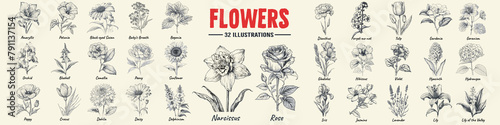 Flower set hand drawn vector illustration. Rose, Lily, Narcissus and violet engraved style, sketch isolated on white.