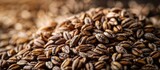 Macro View of Diverse Cereal Grains and Seeds on Rustic Background